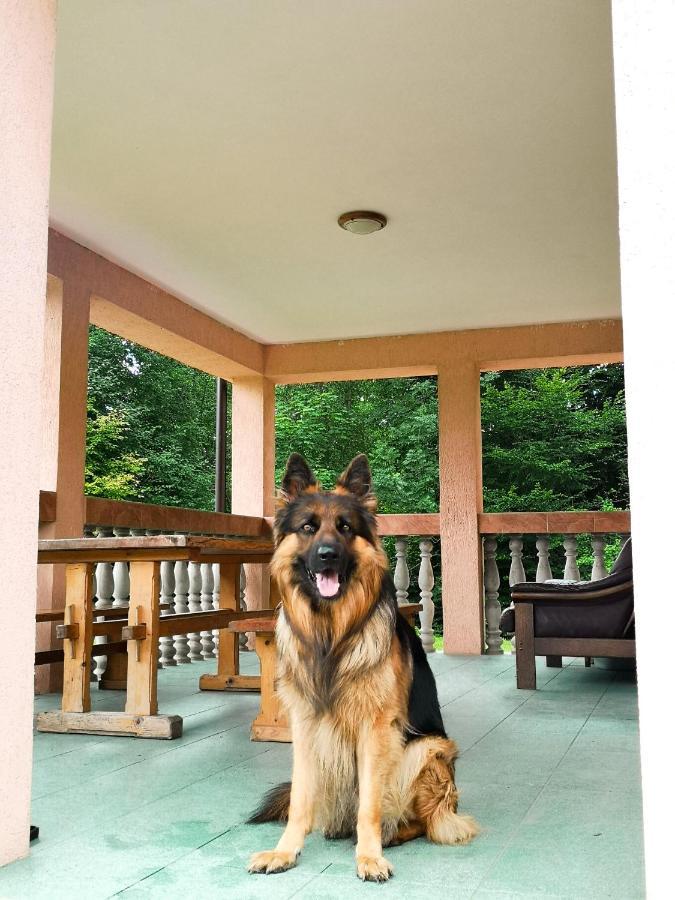Villa Bieszczadzki Dom Nad Stawem Ropienka Esterno foto